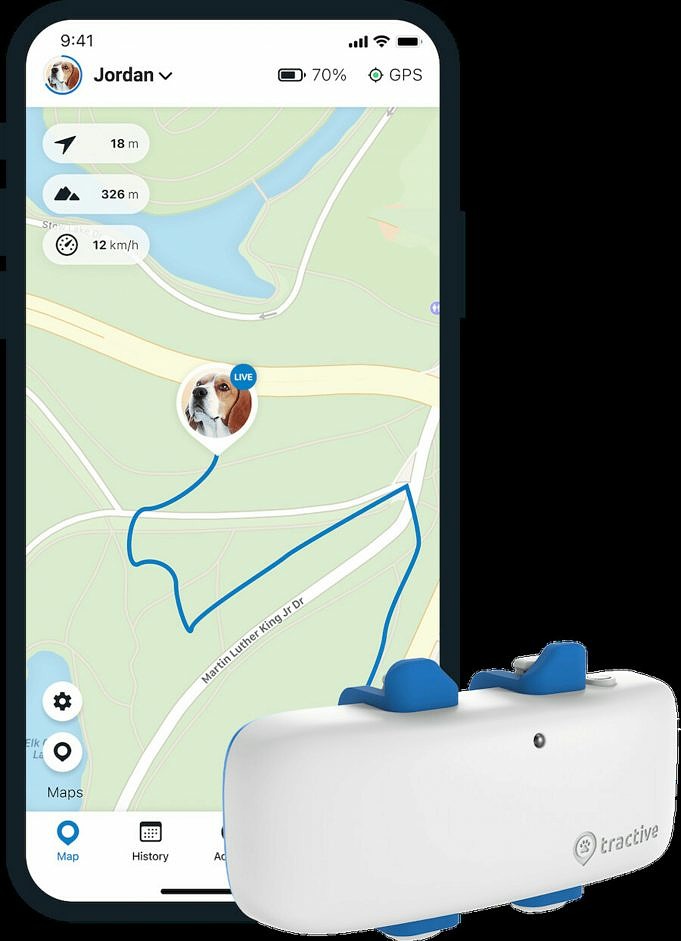 Collier GPS Findster Duo+ VS Tractive. Ce Qui Est Mieux?